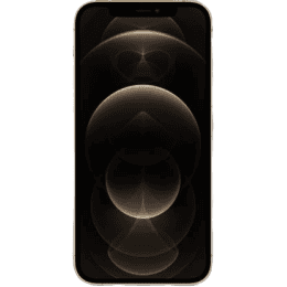 Apple iPhone 12 Pro | 256 GB | Gold