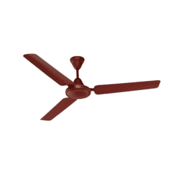 Nolta Ceiling fan  Plain | Royal Brown