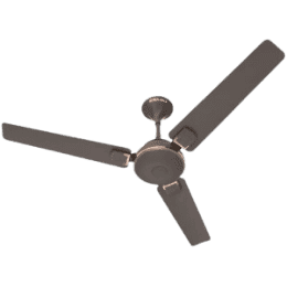 Bajaj | Trendy EE | 1200mm | Ceiling Fan| |  Red Walnut  Rustic