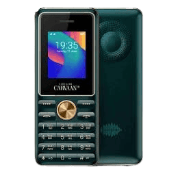 SAREGAMA Carvaan Mobile Malayalam M11 | Emerald Green