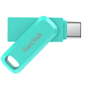 SanDisk Type C Dual Drive Go 256 GB Pen Drive | Green