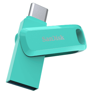 SanDisk Type C Dual Drive Go 256 GB Pen Drive | Green