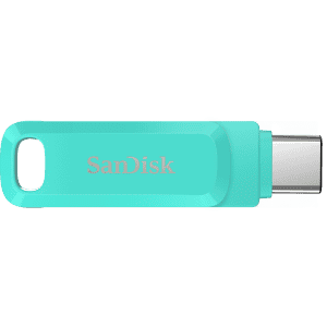 SanDisk Type C Dual Drive Go 256 GB Pen Drive | Green