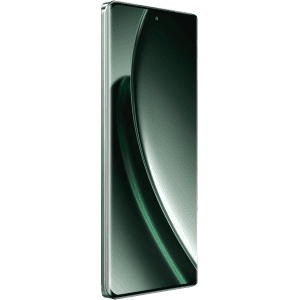 realme GT 6  | 12 GB RAM | 256 GB | Razor green	