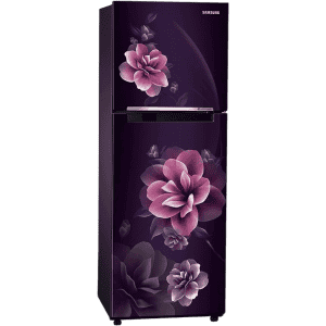 SAMSUNG | Frost Free Refrigerator | Double Door | 2 Star | 236 L | RT28C3022CR/HL