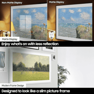 SAMSUNG | 165 cm (65 inch) | QLED Ultra HD 4K Smart Tizen TV | QA65LS03DAULXL