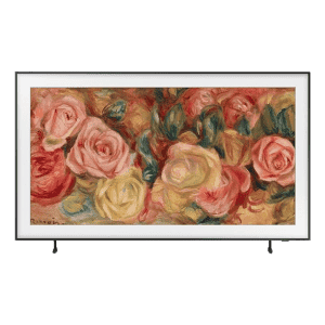 SAMSUNG | 165 cm (65 inch) | QLED Ultra HD 4K Smart Tizen TV | QA65LS03DAULXL