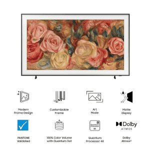 SAMSUNG | 165 cm (65 inch) | QLED Ultra HD 4K Smart Tizen TV | QA65LS03DAULXL