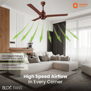 Orient Electric EcoTech Supreme Ceiling Fan | BLDC Motor | 3 Blade | 5 Star | 1200 mm | Brown