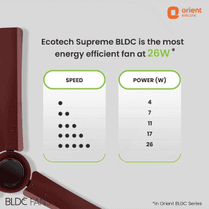 Orient Electric EcoTech Supreme Ceiling Fan | BLDC Motor | 3 Blade | 5 Star | 1200 mm | Brown
