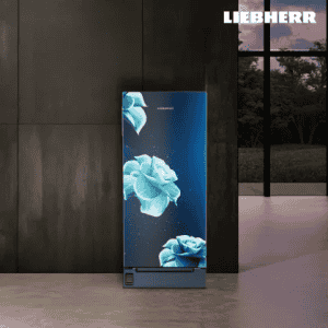 Liebherr Direct Cool Single Door Refrigerator | 191 L | 3 Star | Blue Divine | DFPldC 1921