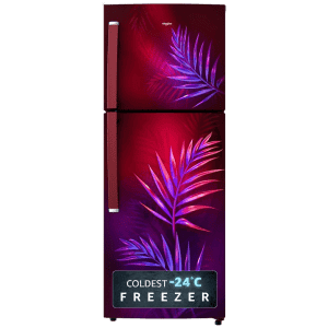 Whirlpool Frost Free Double Door | 235 L | 2 Star Refrigerator | Wine Palm | NEO 278LH PRM