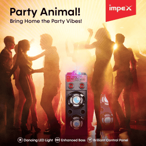 Impex ST 100A Stage Speaker | FM Radio | 100W | Black