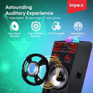 Impex ST 100A Stage Speaker | FM Radio | 100W | Black