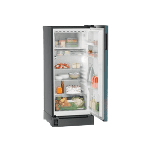 Liebherr Single door refrigerator | 191 L | 5 star with inverter compressor | DFPtsE 1931 Plus