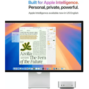Apple Mini Tower M4 Pro chip | 24 GB | 512 GB SSD | MCX44HN/A
