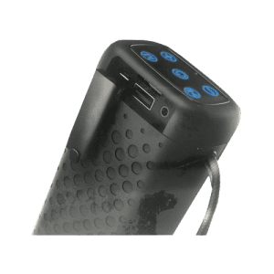 Salpido B101 Bluetooth Party Speaker | 5.6 W  | Black