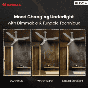 Havells Inox UL BLDC Ceiling Fan | 1200 mm | 5 Star | Metallic Grey