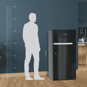 Liebherr Direct Cool Single Door Refrigerator | 191 L | 3 Star | Vegetable FreshBox | Black Gloss | DNBBGC1901