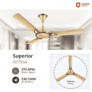 Orient Electric Kiara Shine High Speed Ceiling Fan | 1200 mm | 3 Blade | Chocolate Gold