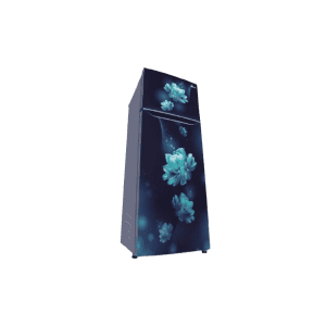 LG Double Door Refrigerator | 2 Star | 242L | Smart Inverter Compressor | Multi Air Flow | Blue Charm