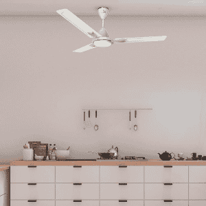 Polycab Viva DLX Ceiling Fan | 1200 mm | Bianco