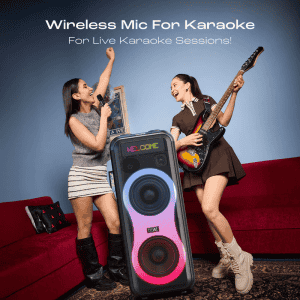 boAt PartyPal 600 Bluetooth Party Speaker | 220W | Premium Black
