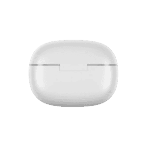 Realme Buds T200 Lite Bluetooth in Ear Earbuds | RMA2415 | Storm Grey