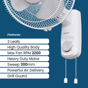 Blueberry's Ozon 12 Wall Fan | 80 Watts