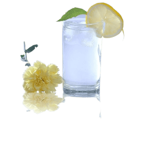 Lucky Glass Classic Tumbler Glasses | LG-30