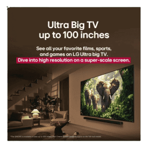 LG 4K Ultra HD Smart QNED evo AI TV | 164cm (65) | 65QNED8GA6A