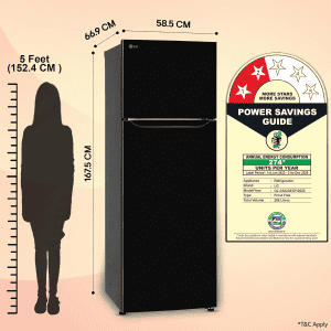 LG Frost Free Double Door Refrigerator | 288 L | 2 Star |  Enony Sheen | GL-S322SESY