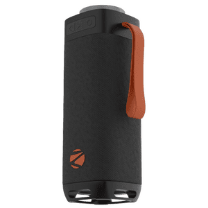 Zebronics Portable Bluetooth Speaker | 40W |  Type-C Charging | Sound Feast 250 | Black