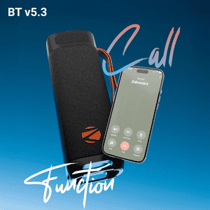 Zebronics Portable Bluetooth Speaker | 40W |  Type-C Charging | Sound Feast 250 | Black