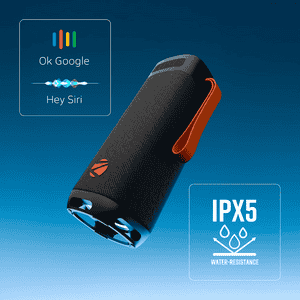 Zebronics Portable Bluetooth Speaker | 40W |  Type-C Charging | Sound Feast 250 | Black