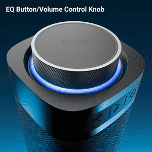 Zebronics Portable Bluetooth Speaker | 40W |  Type-C Charging | Sound Feast 250 | Black