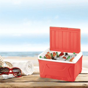 Asian Thermowagon Insulated Ice Cooler | 5 litres | Ice Cube Storage | Multicolor