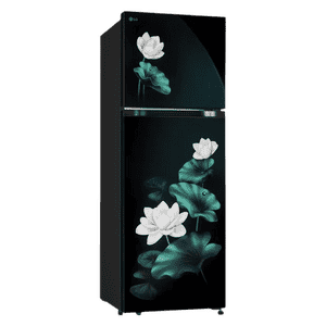 LG Frost Free Double Door Refrigerator | 251 L | 2 Star | Emerald Lotus | GLT2526XWOB