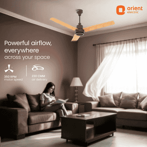 Orient Ecotech Prime CX BLDC Ceiling Fan | 1200MM | Oak Wood