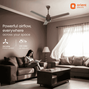 Orient Ecotech Prime CX BLDC Ceiling Fan | 1200MM | Metallic Bronze Copper