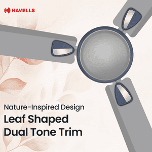 Havells Exter Neo Ceiling Fan | 1200 mm | Grey