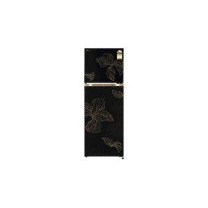 LG Double Door Refrigerator | Smart Inverter Compressor | 251 L | 2 Star | Radiant Onyx | GLT2526XWRO