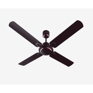 Bajaj Regal Gold NXG 4 blade 1200 mm Ceiling Fan | Wine Red