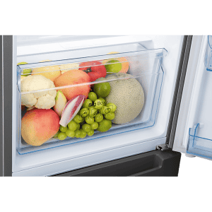 SAMSUNG 244 L  Frost Free Double Door 2 Star Refrigerator | Real Stailness