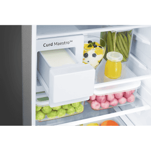SAMSUNG 244 L  Frost Free Double Door 2 Star Refrigerator | Real Stailness