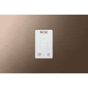 Samsung 244 L 2 Star Inverter Frost-Free Double Door Refrigerator | GOLDEN