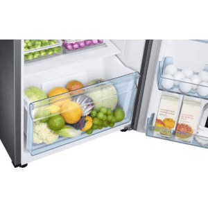 SAMSUNG 253 L Frost Free Double Door 2 Star Refrigerator | RT28T3042S8/HL | Grey