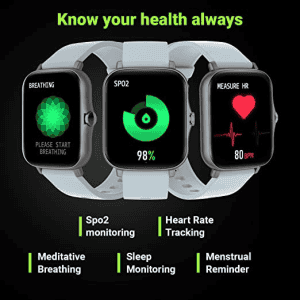 Fire-Boltt Beast Pro Smartwatch | BSW016 | Grey