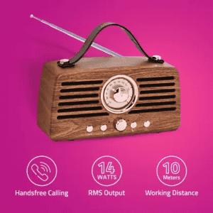 Artis BT45 14 W Bluetooth Speaker 2.0 Channel | Brown