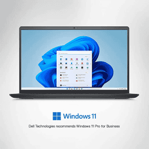 Dell Inspiron 3520 Laptop | D560900WIN9B |12th Gen Intel Core i5-1235U, Windows 11 | 8GB, 1TB HDD + 256GB SSD | 15.6 | Black